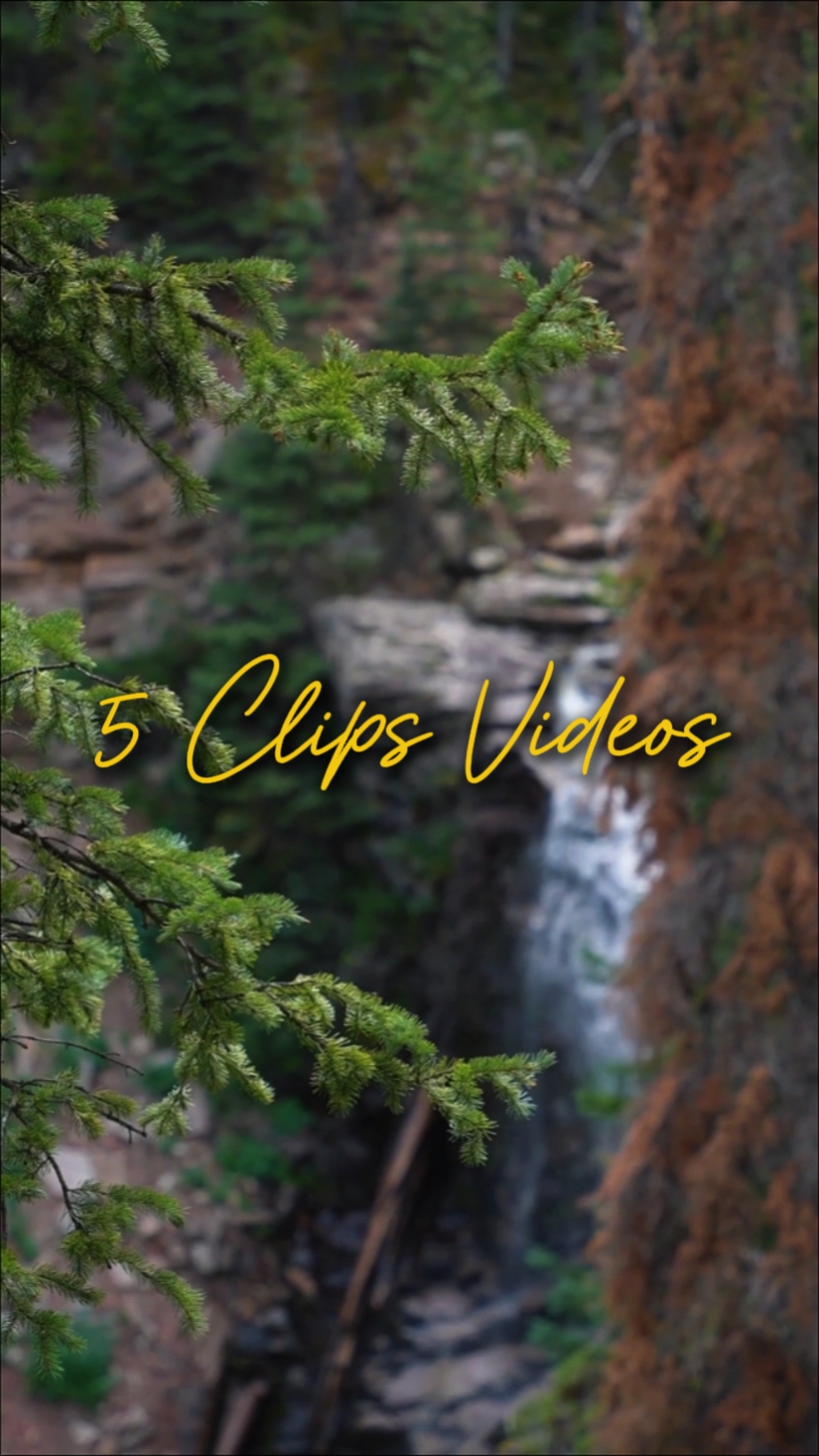 CINÉMATIQUE 5 VIDÉOS