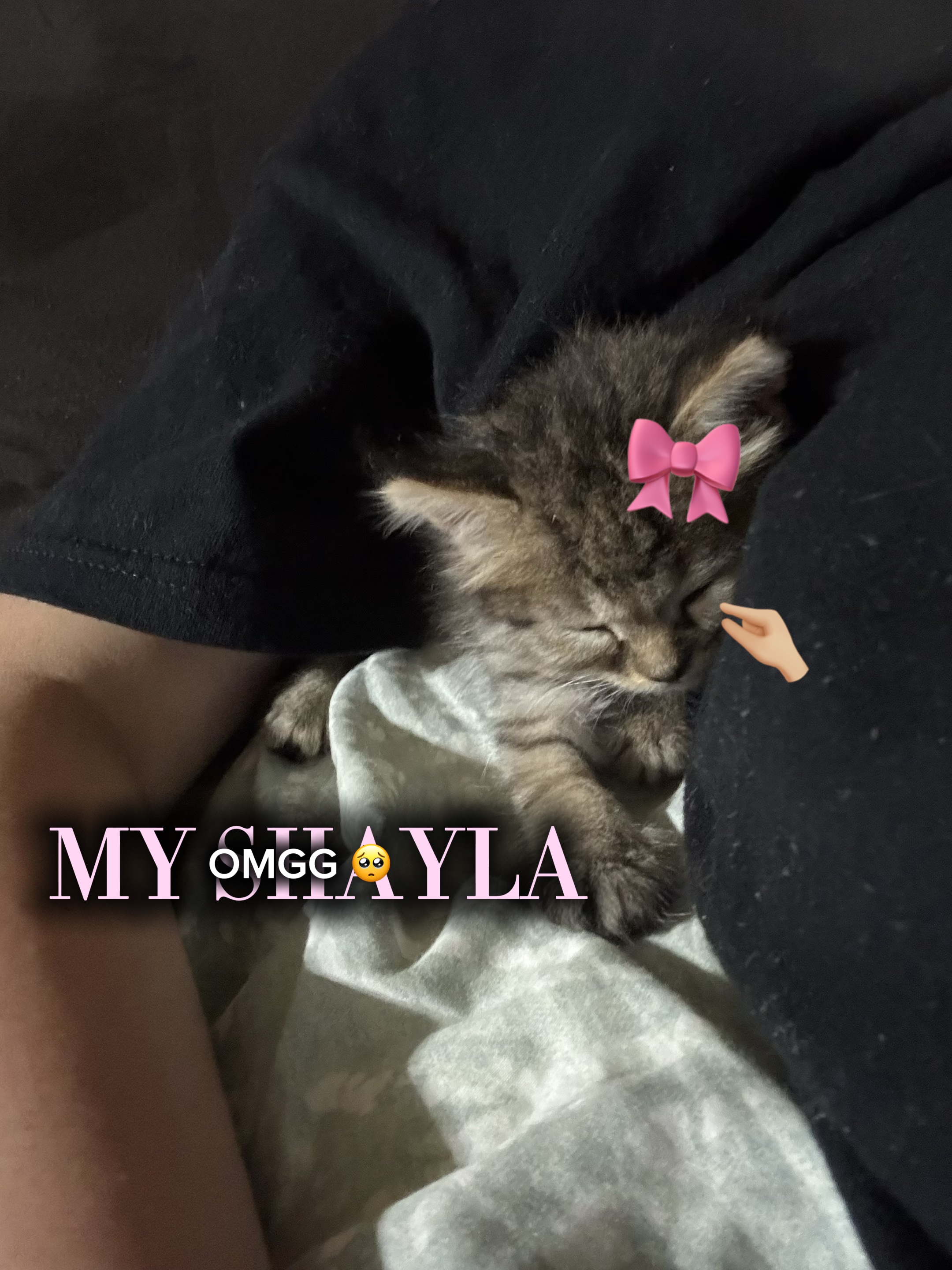 MI SHAYLA