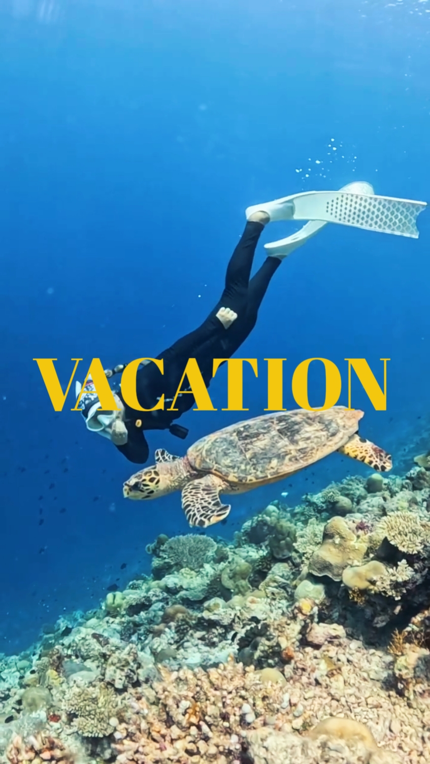 Vacaciones