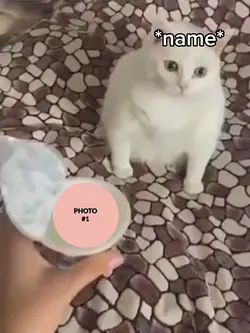 Minhaz