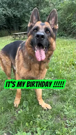 Happy bday to me