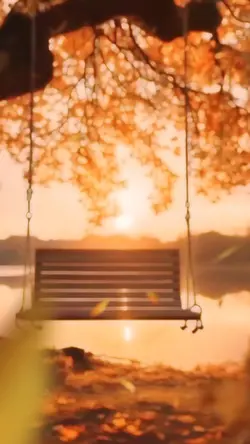 秋🍂moments