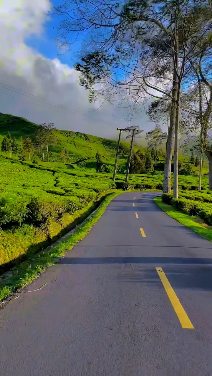 8 filtro de video cerah