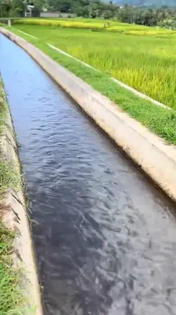 mentahan alam