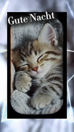Gute Nacht 