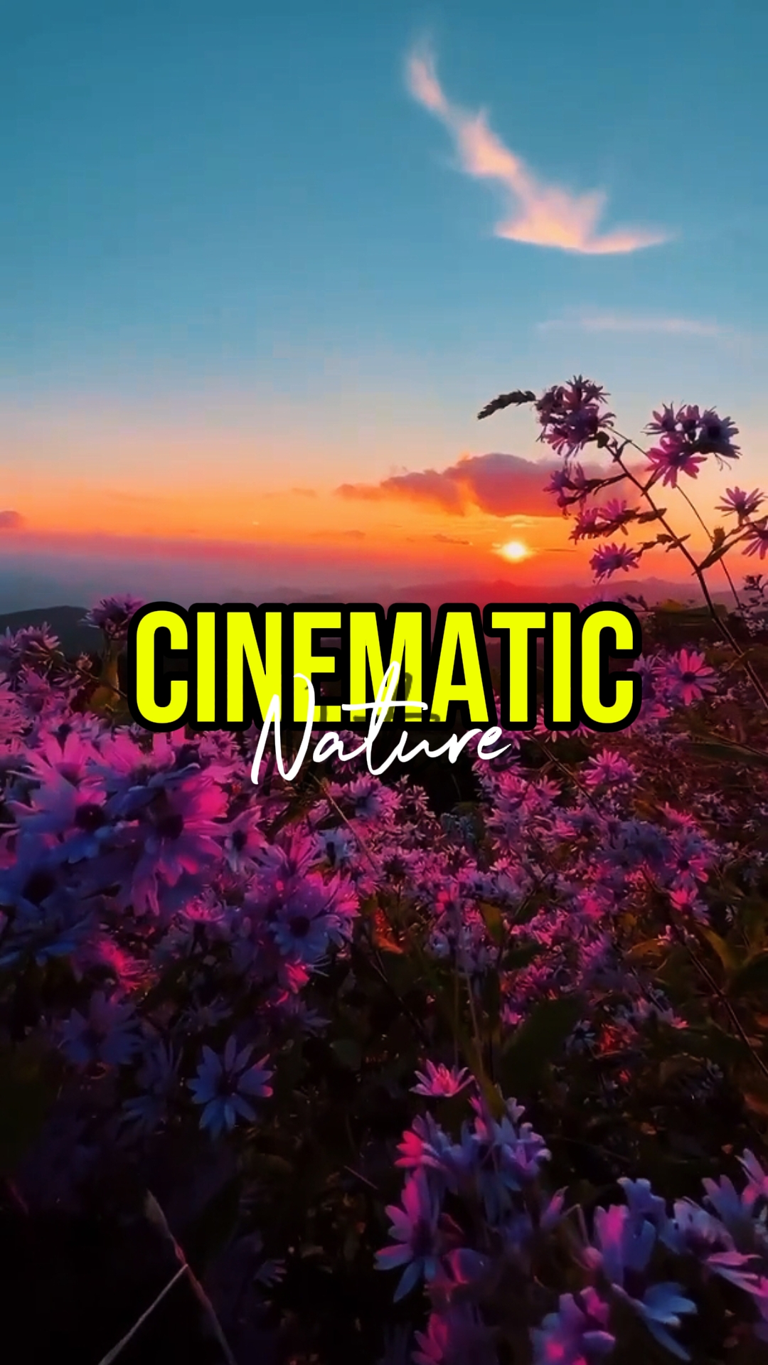 NATURE CINEMATIC