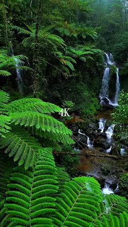 camera 144p VS 4K