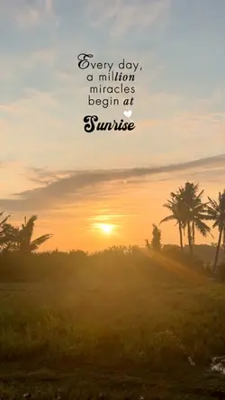 sunrise & miracles