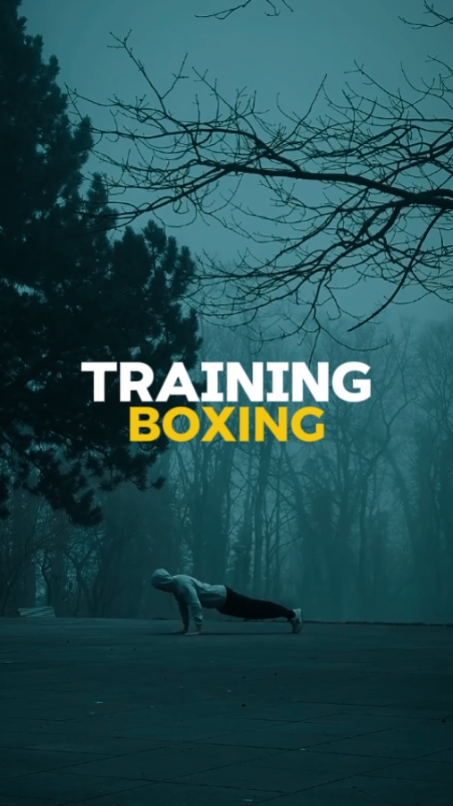 Entrenamiento De Boxeo