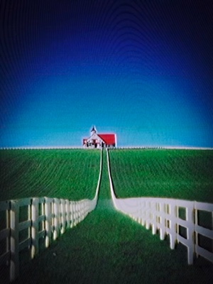 Cover Picture