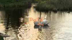 Mini vlog