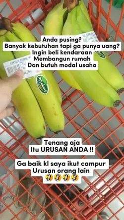 Fb Pro