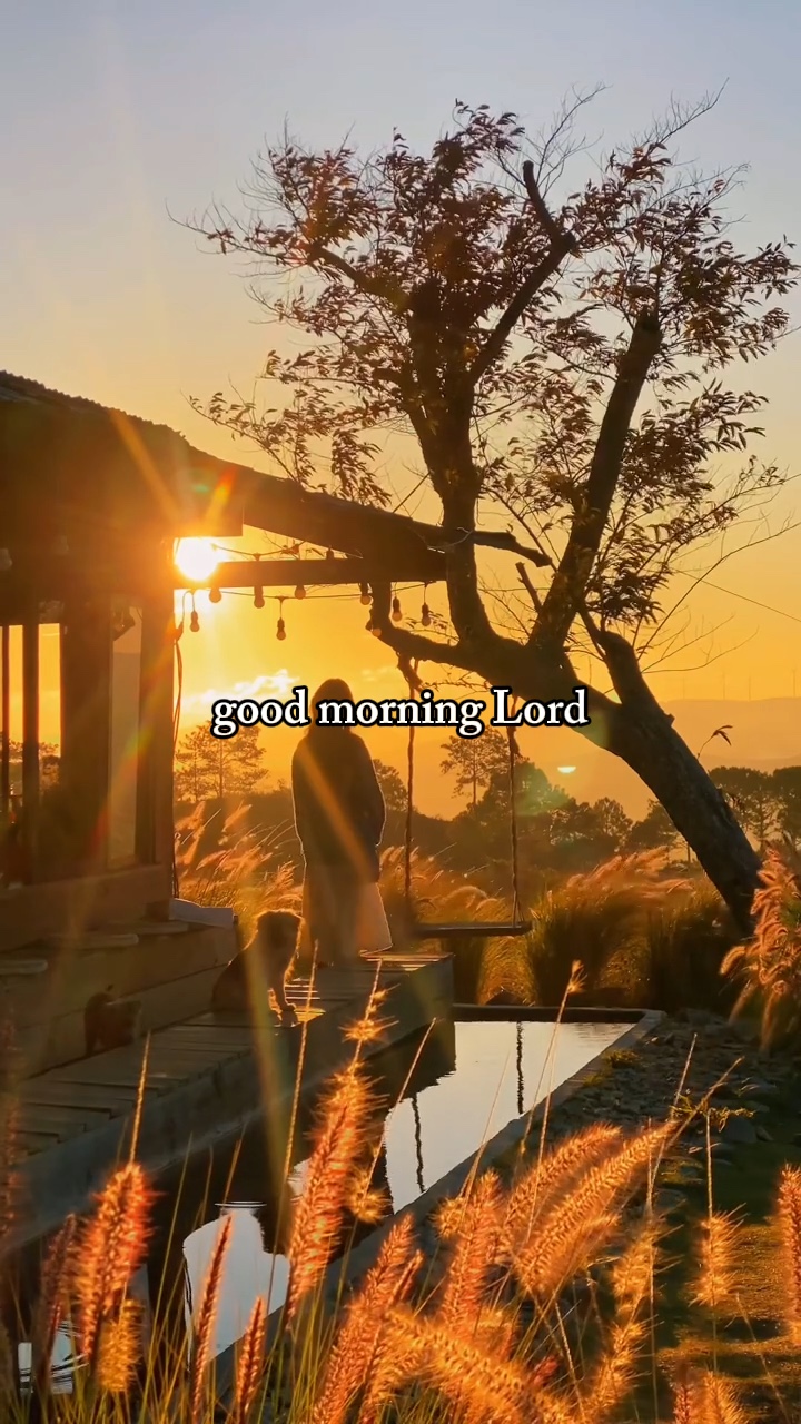 Bom Dia Senhor 