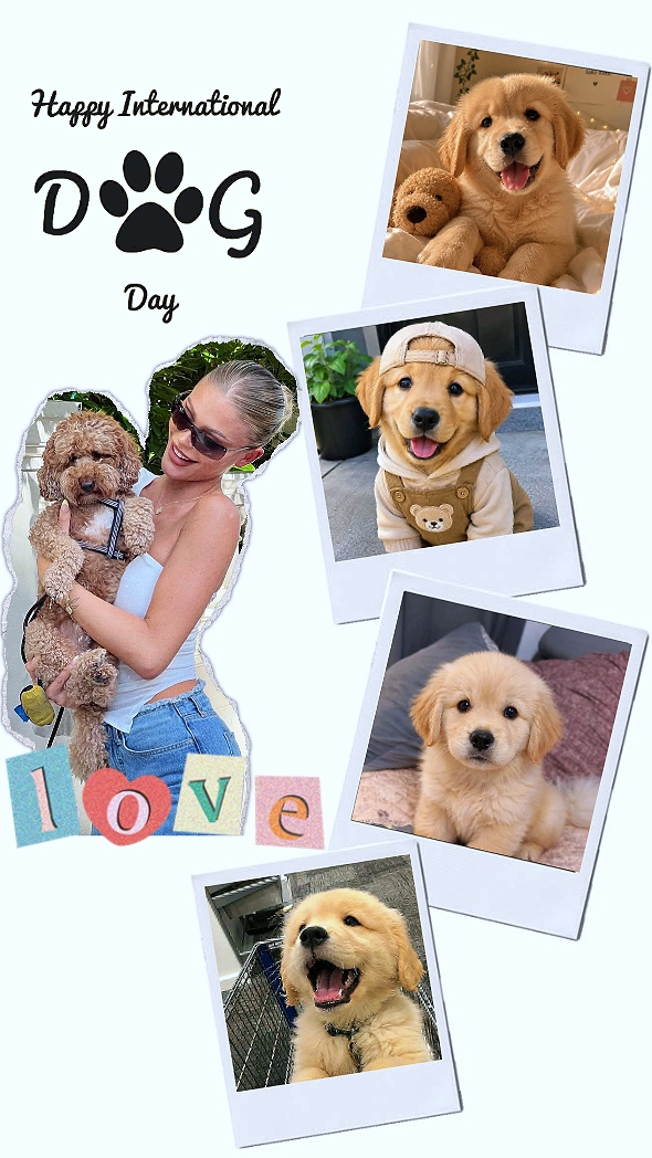 My Dog