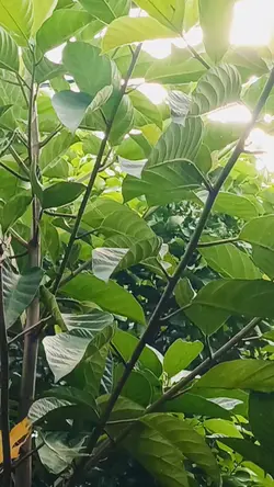 cerita kehidupan