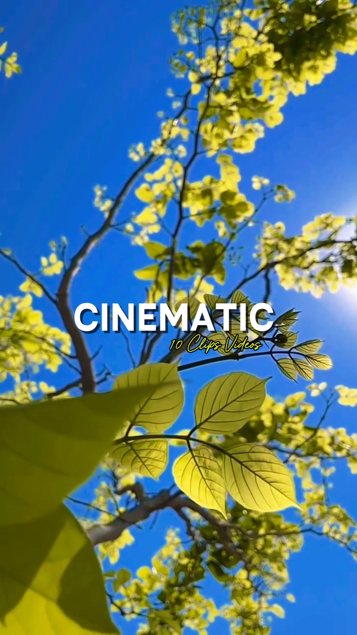 Cinematic 10 Videos 