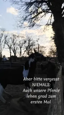 Leben das erste Mal.