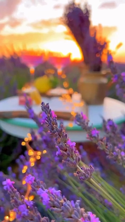 spring aesthetic 