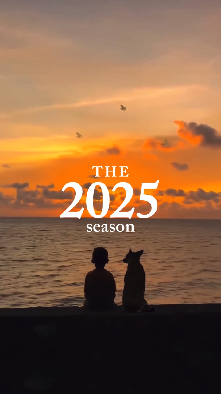 Resumen de 2025 DtMF
