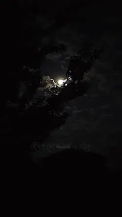 চাঁদে দেশে তাহার বাড়