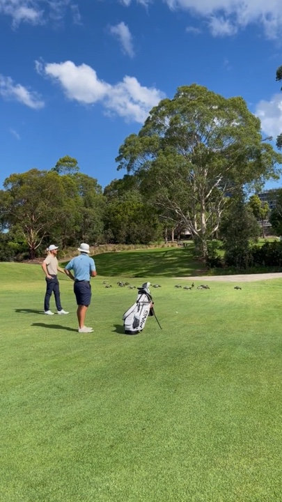 golf