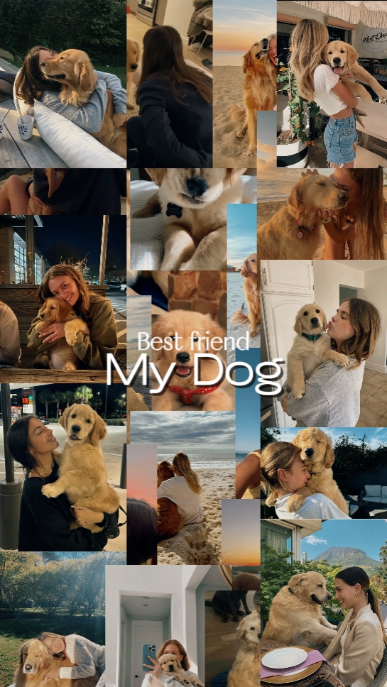 Mon meilleur ami de chien