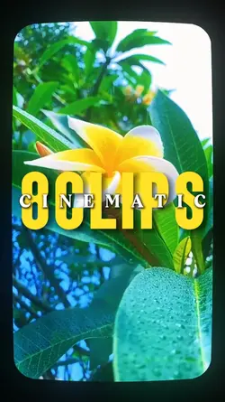 8 VIDEOS CINEMATIC