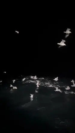 Slowmotion