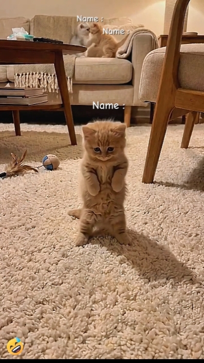 Tulis Nama