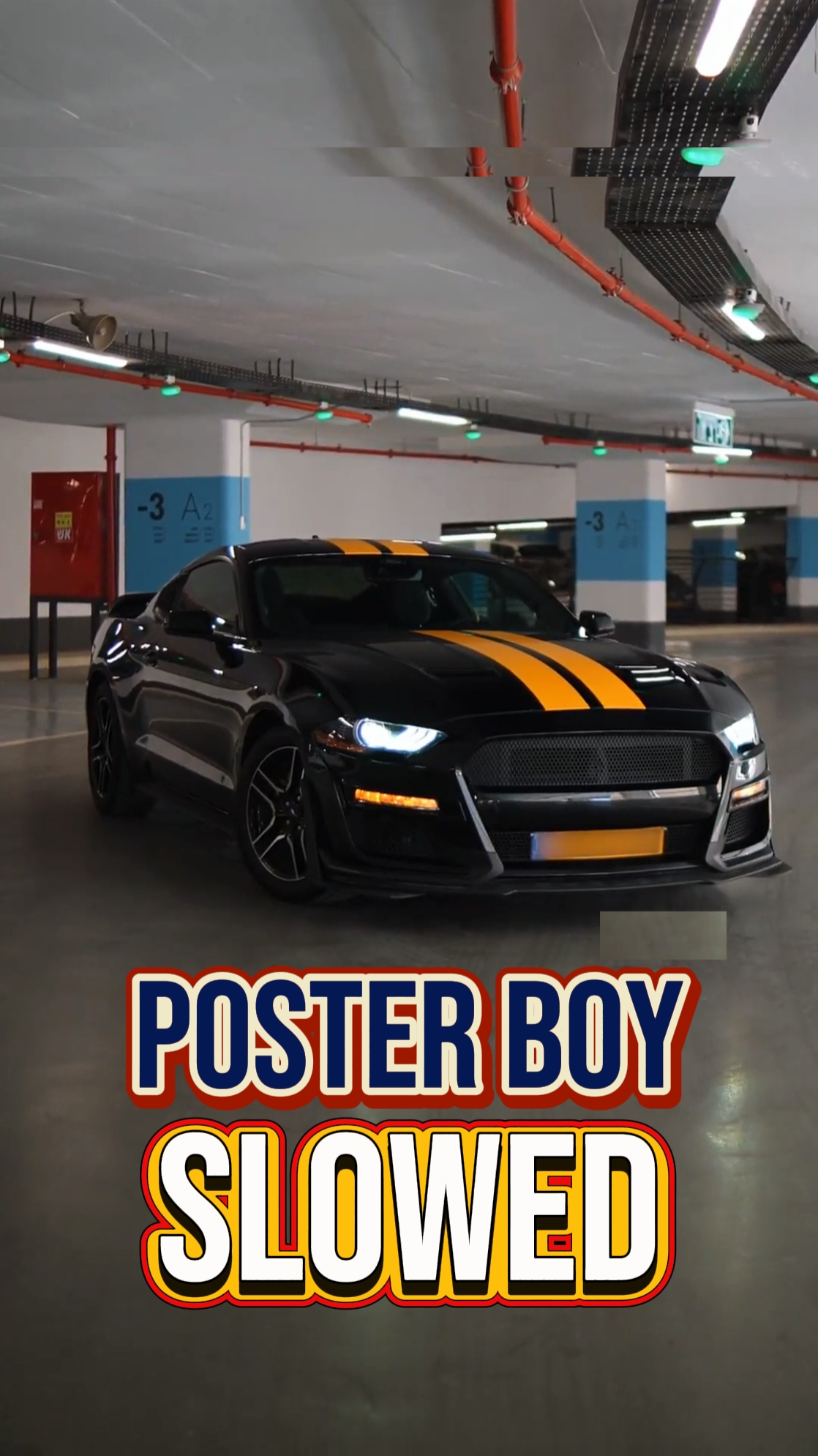 MENINO PÔSTER | MUSTANG