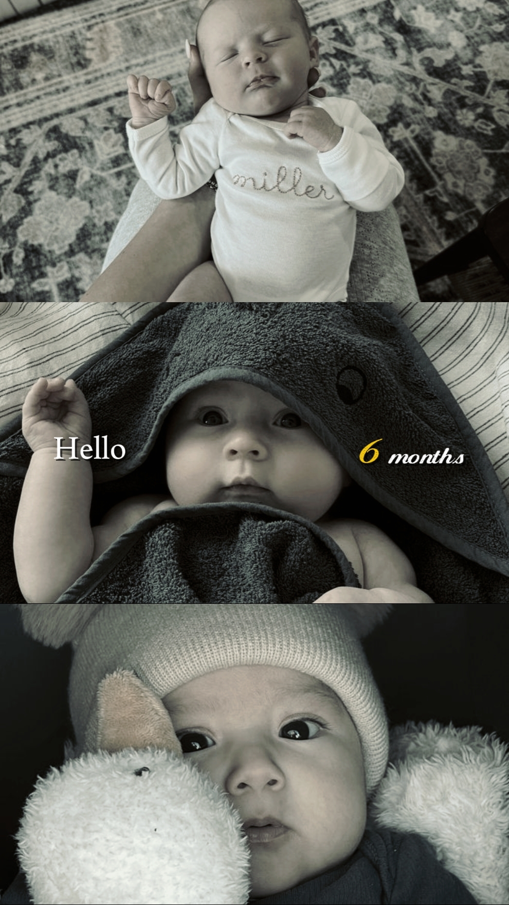 baby 6 months