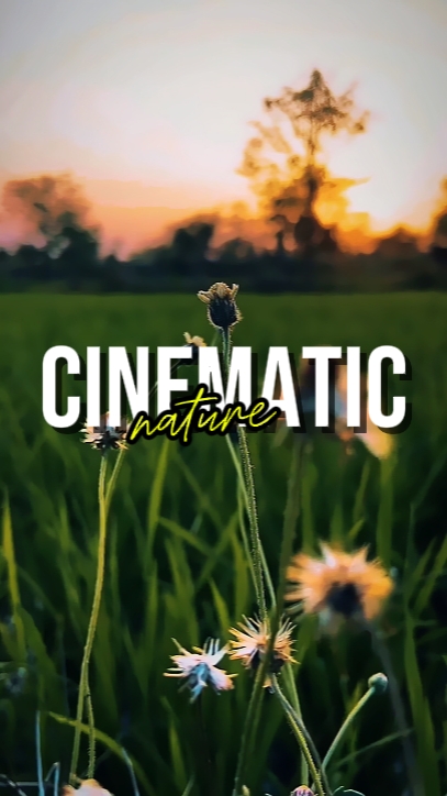 CINEMATIC NATURE