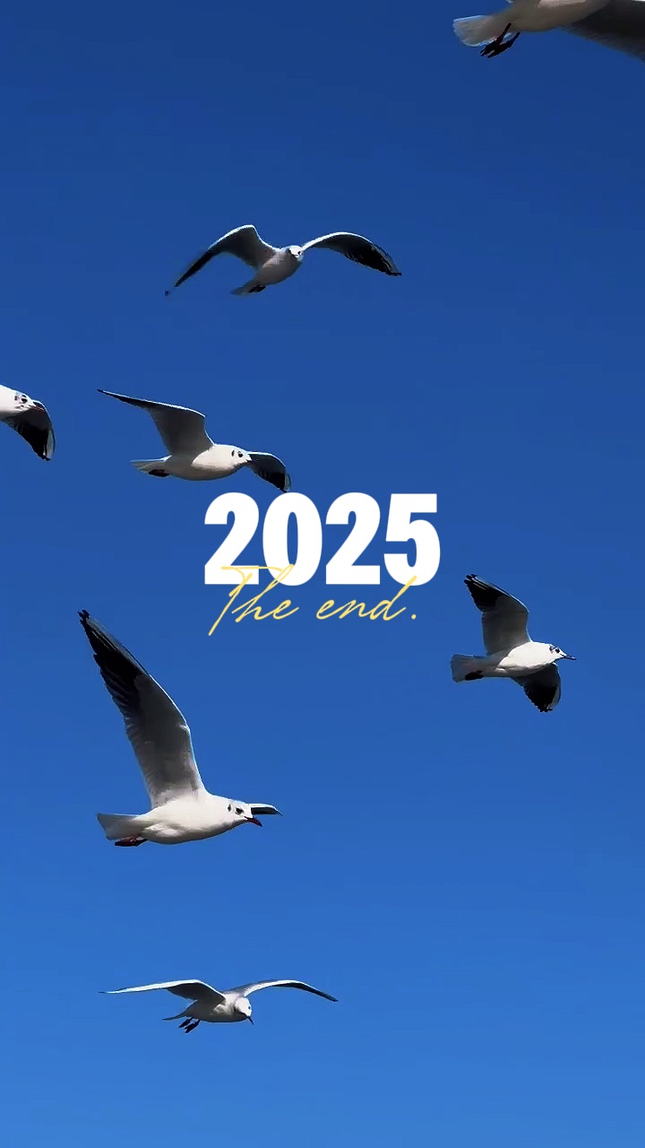 2025 the end 100clip