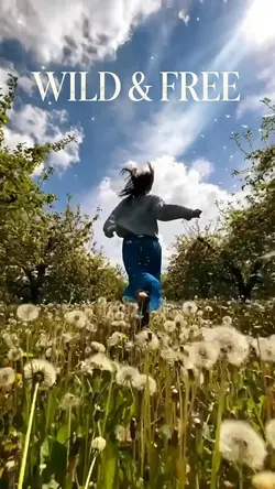 微光中的行囊