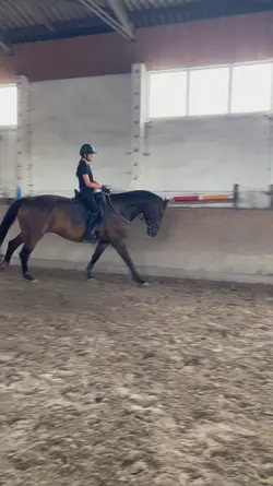 riding todayyy