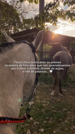 Talvez Deus tenha 🤍
