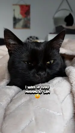 I wake up...
