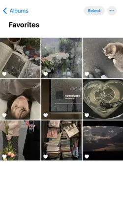9 pics/videos