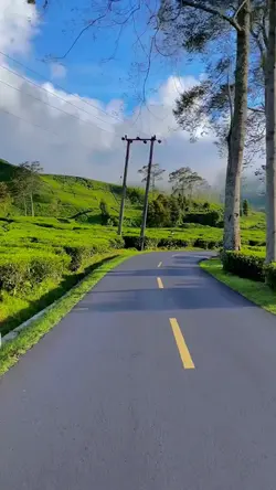1 video filter cerah