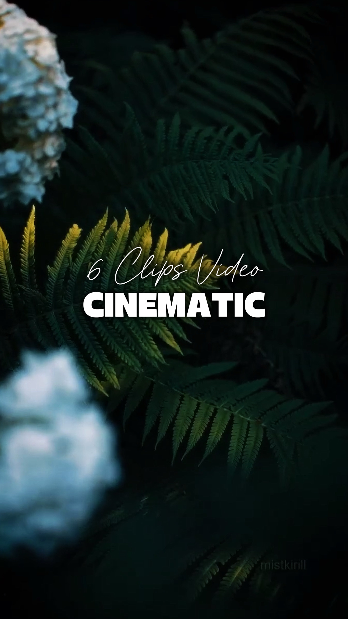 6 Videos Cinematic 