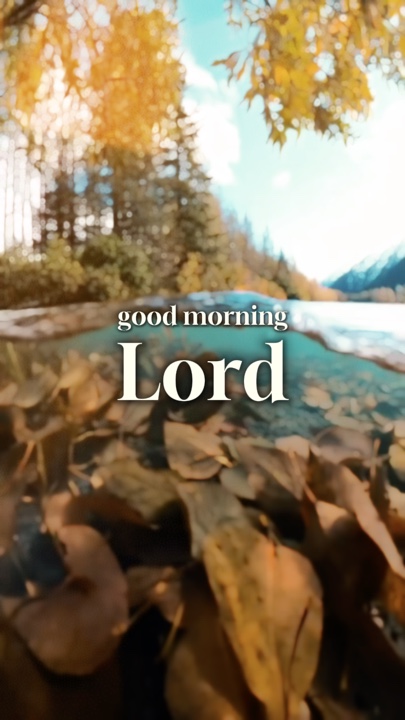 Bom Dia Senhor