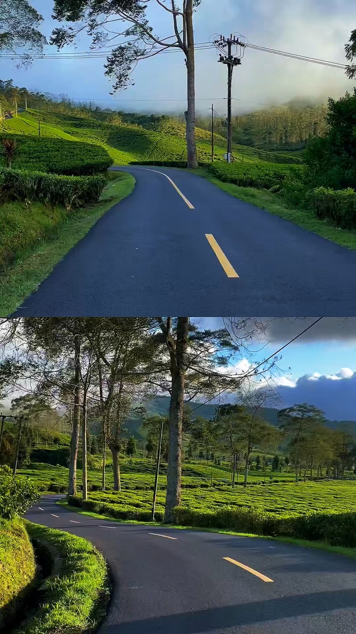 2 videos 1 frame 