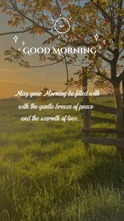 Morning