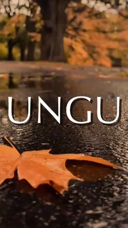 Tercipta Untukku