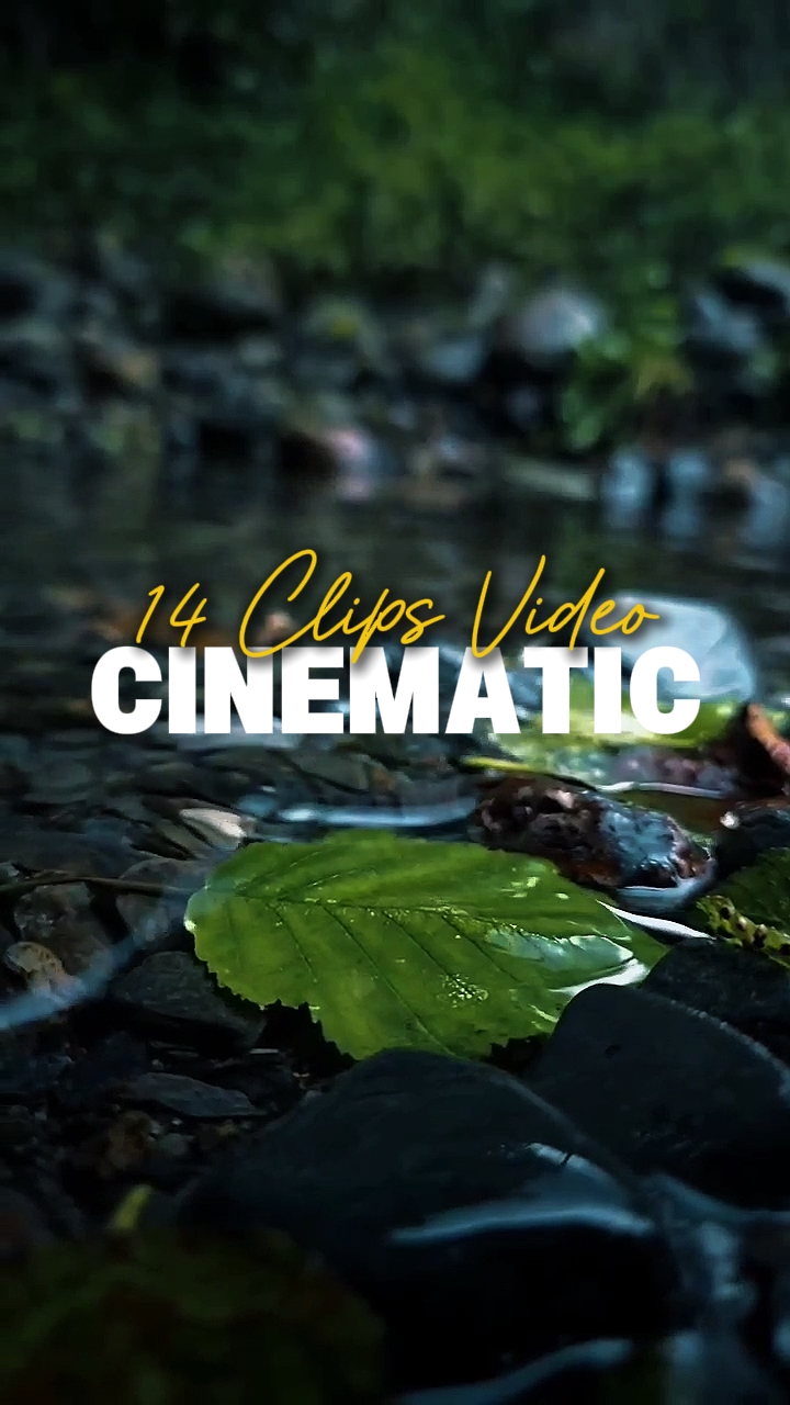 14 clipes de vídeo