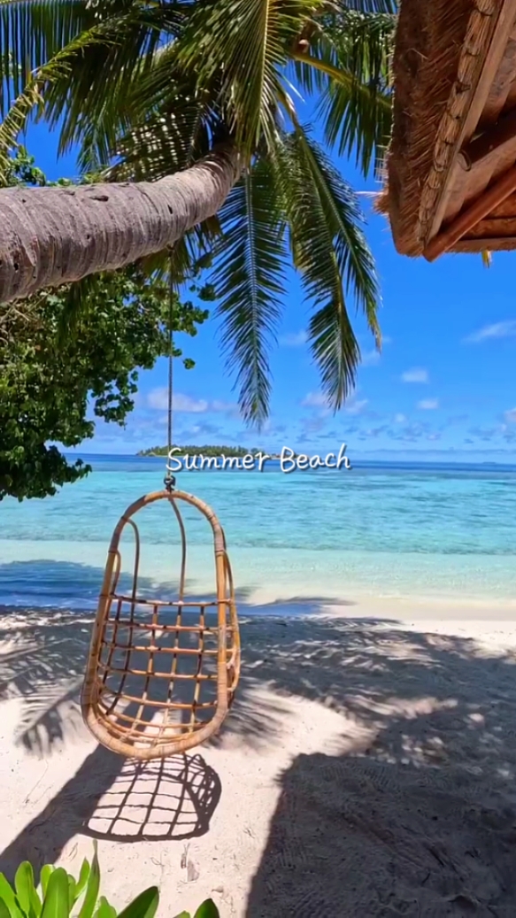 Plage d'été