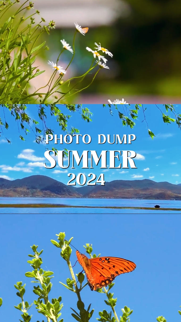 Verano Volcado 2024
