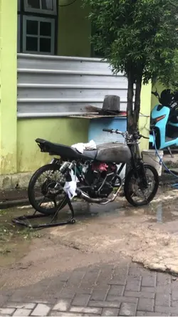 Seee