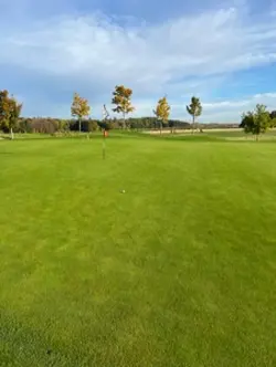 Golf Meme
