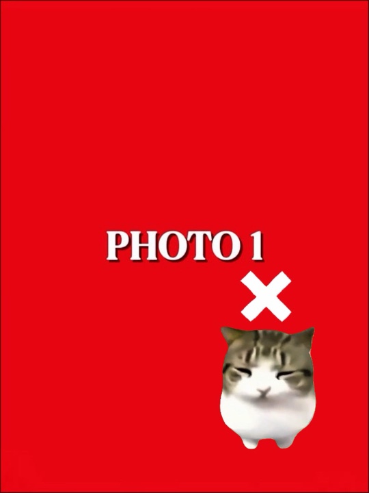 댐 댐 디디 디디 